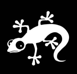 Samolepka (na auto, notebook) ještěrka (bílá) 6