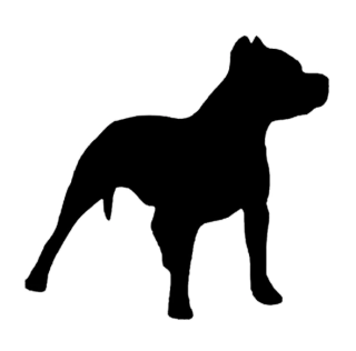 Samolepka (na auto, notebook) Pitbull - černá (5)