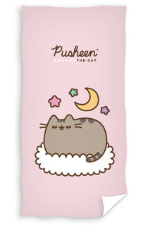 Osuška Pusheen (3)