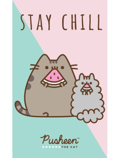 Ručník Pusheen (30 x 50 cm)