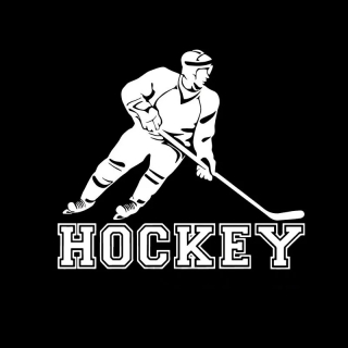 Samolepka (na auto, notebook) hokejista - bílá (4)