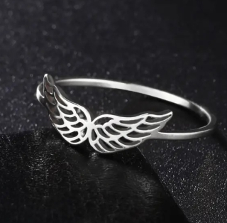 Prsten křídla (ocel)