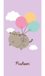 Osuška Pusheen (4)