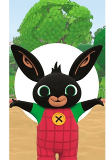 Ručník Bing (30 x 50 cm) 4