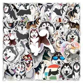 Set 50 samolepek husky