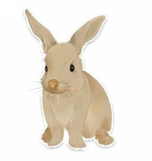 Samolepka (na auto, notebook) zajíc (4)