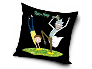 Povlak na polštář Rick a Morty (2)
