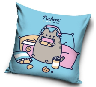 Povlak na polštář Pusheen (2)