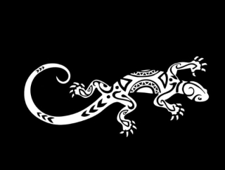 Samolepka (na auto, notebook) ještěrka (bílá) 8