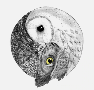 Samolepka (na auto, notebook) Yin yang - sovy