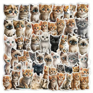 Set 50 samolepek kočka (10)