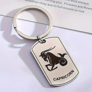 Klíčenka znamení zvěrokruhu - kozoroh - ocelová