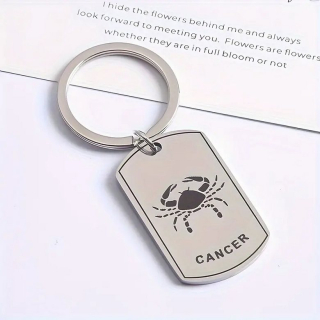 Klíčenka znamení zvěrokruhu - rak - ocelová