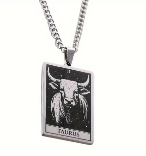 Řetízek znamení - býk - ocel (4)