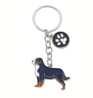 Klíčenka pes - bernský salašnický pes