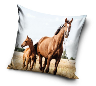 Povlak na polštář kůň - koně - 40 x 40 cm (12)
