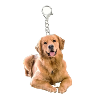 Klíčenka pes - zlatý retrívr (4)