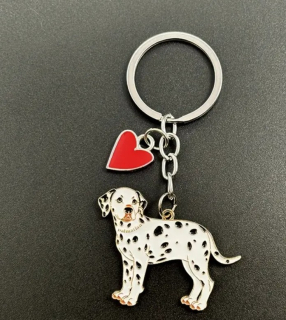 Klíčenka pes - dalmatin
