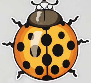 Samolepka (na auto, notebook) beruška (19)