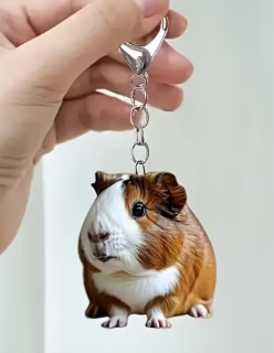 Klíčenka morče (2)