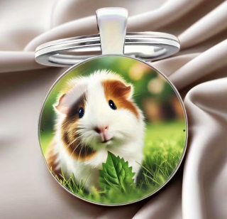 Klíčenka morče (3)