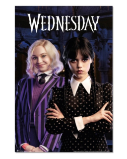 Plakát Wednesday a Enid