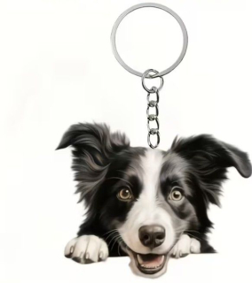 Klíčenka pes - border kolie (8)
