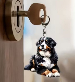 Klíčenka pes - bernský salašnický pes (2)