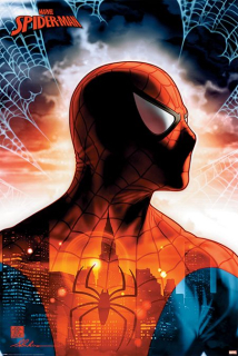 Plakát Spider-Man (2)