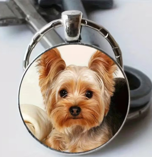 Klíčenka pes - jorkšír (5)