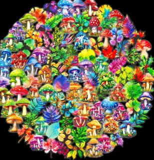 Set 100 samolepek houby a list