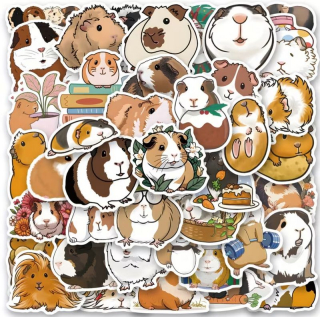 Set samolepek morče - 50 ks (2)