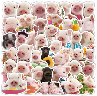 Set 50 samolepek prase (4)